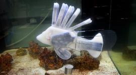 aquatic robot swimming in a tank