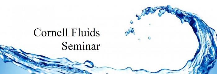 Cornell Fluids Seminar