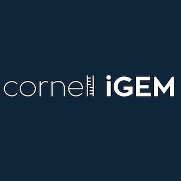 Cornell iGEM logo